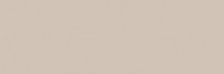 Настенная плитка WAKV5008 30x90 Concept Plus из коллекции Concept Plus Rako