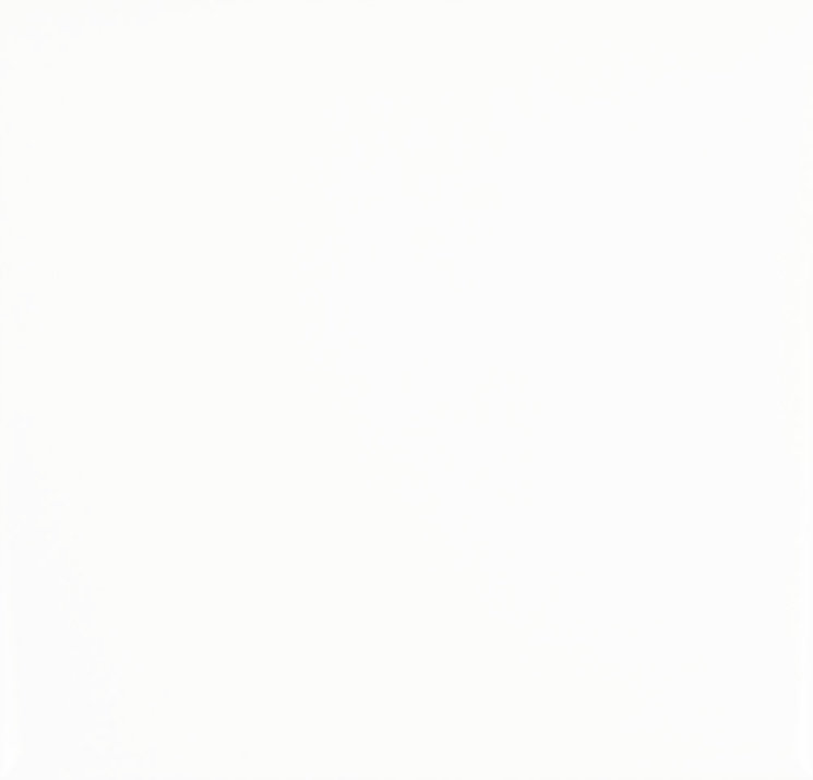 Плитка Blanco Brillo Bisel 15Х15 из коллекции Chalet Monopole